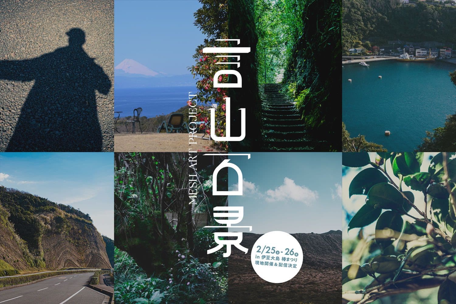 McCann Alpha to Hold a Virtually-Accessible Installation Event of “Kotoyama Hyakkei,” a Co-Creation Project with Panasonic That Aims to Connect People with Communities in a Whole New Way, for 2 Days at the Izu Oshima Camellia Festival.