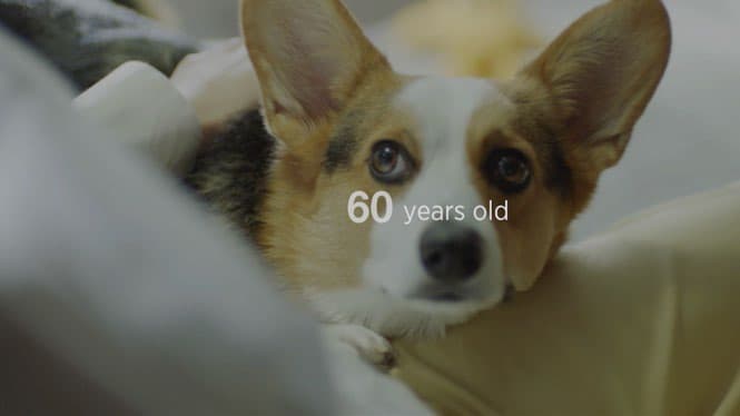 IPG Health’s McCann Health Japan Honored at the Creative Floor Awards 2022